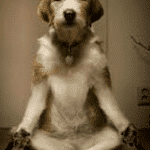 How Mindfulness Can Improve Your Team at Work