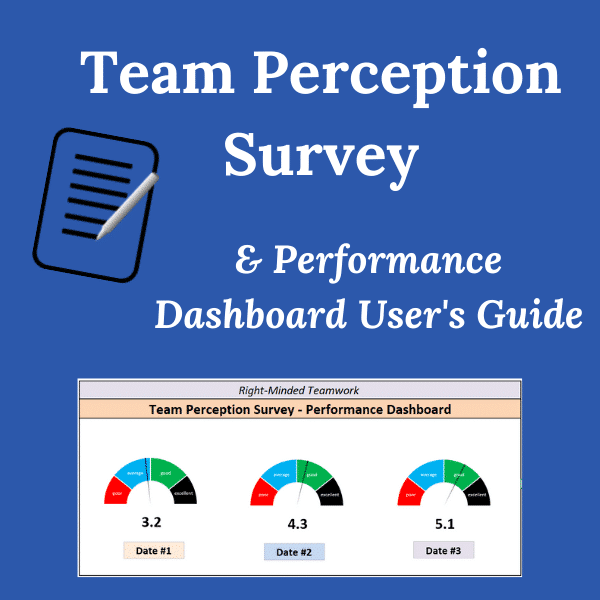 Team Perception Survey Dashboard