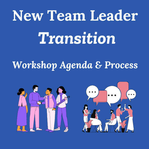 New Leader Transition Workshop Agenda and Process